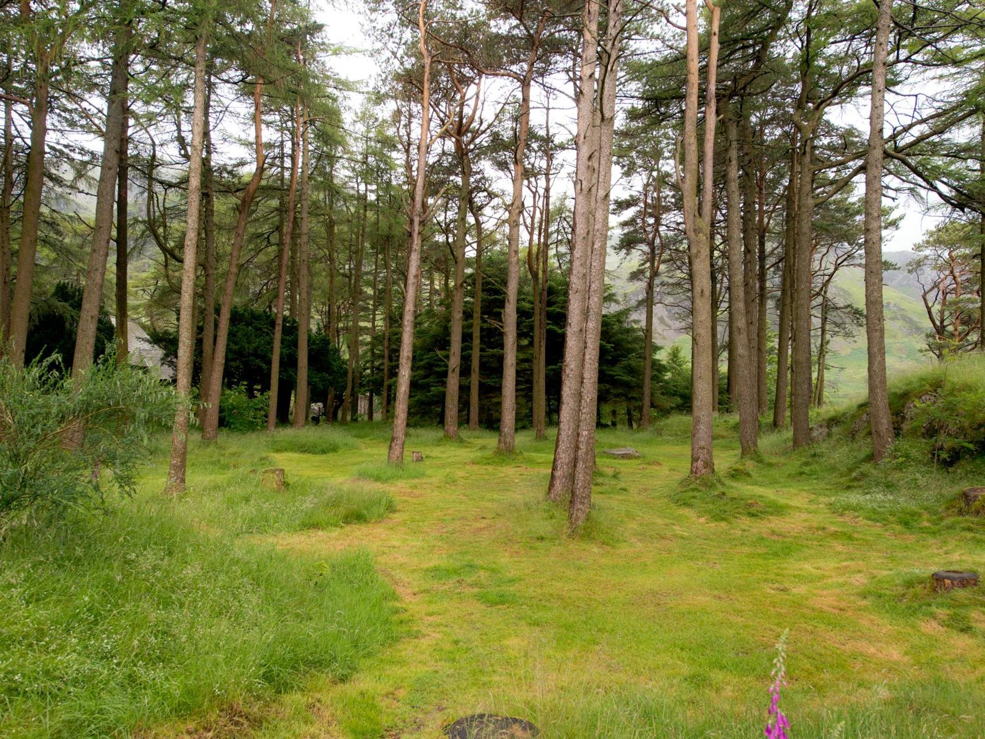 Yha Idwal Cottage Bethesda Bagian luar foto