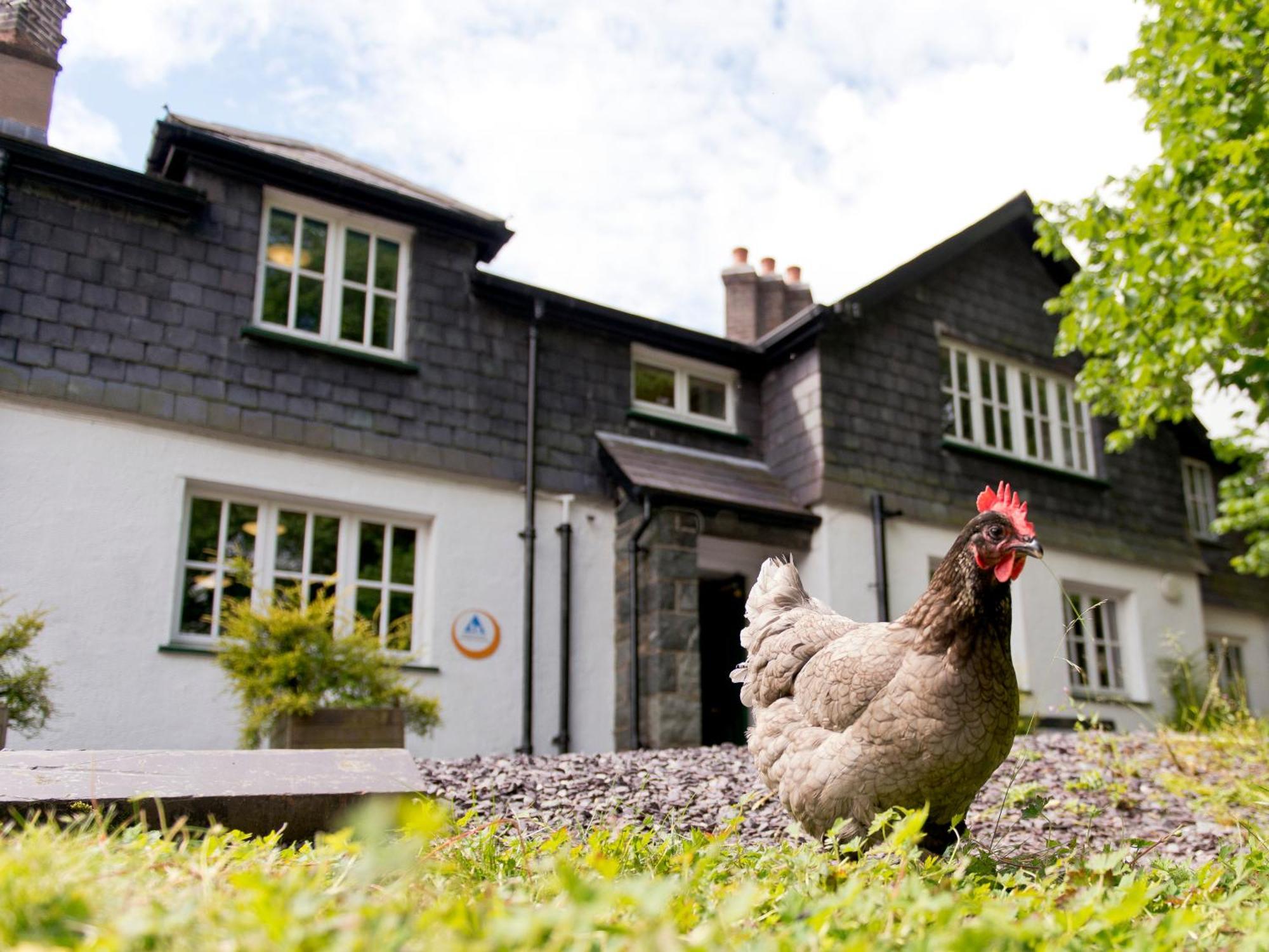 Yha Idwal Cottage Bethesda Bagian luar foto