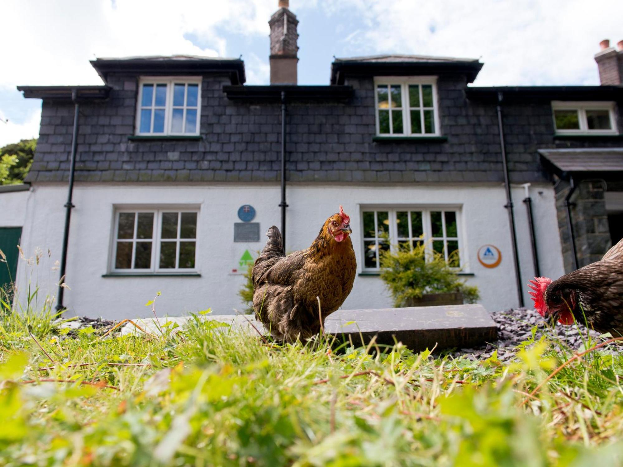 Yha Idwal Cottage Bethesda Bagian luar foto